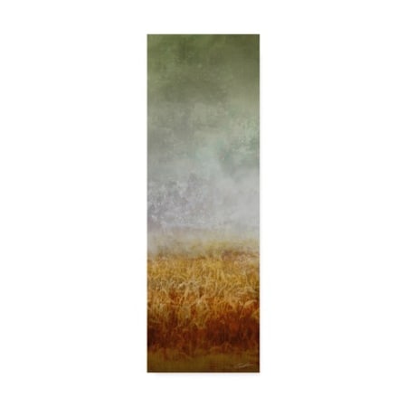John Butler 'Lush Field I' Canvas Art,16x47